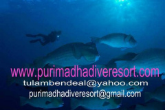 photogallery08